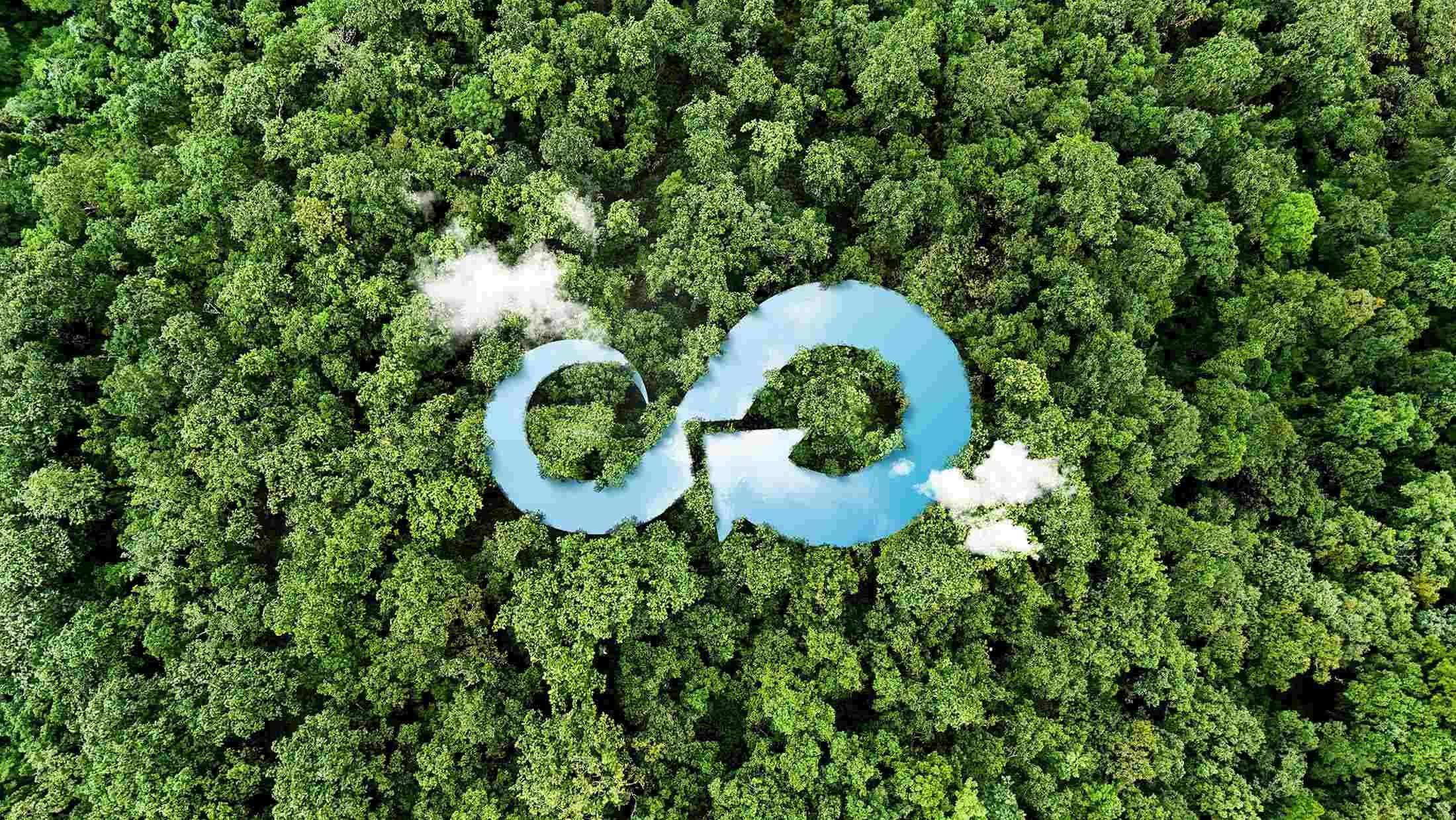 Sustainable Supply Chain